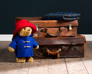 Introducing Paddington™