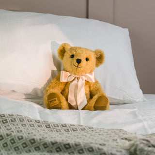 Teddy Bear Care