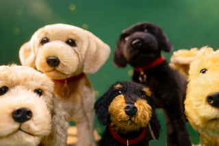 Dog Collection