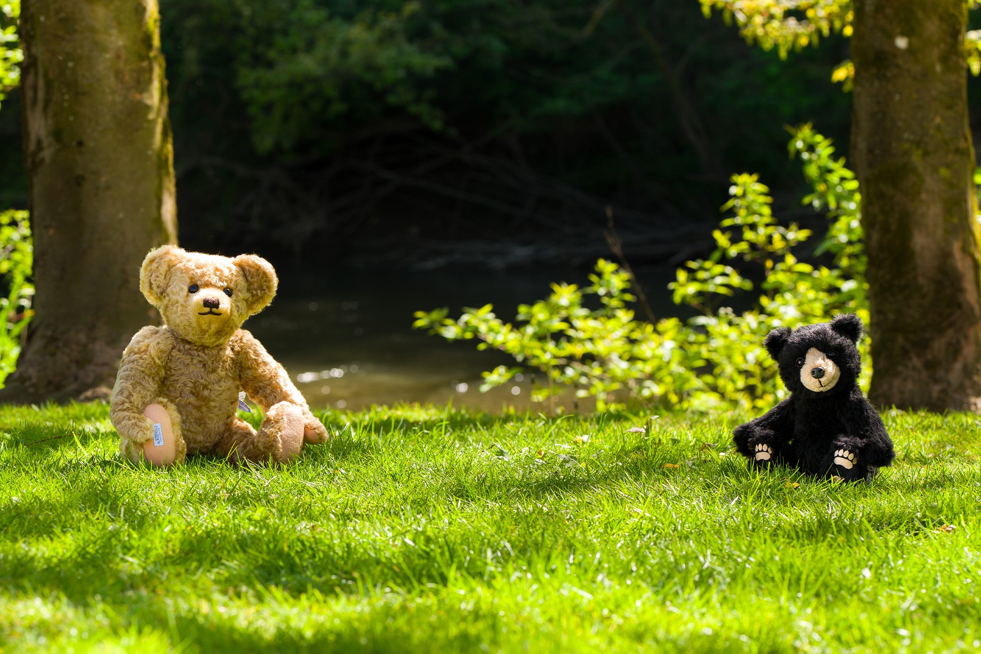 Collectable Teddy Bears | Official Merrythought Website