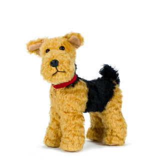 Welsh Terrier