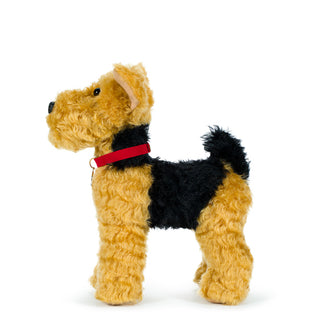 Welsh Terrier