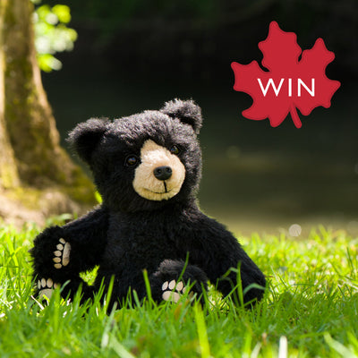 WIN Winnipeg - Ltd Edition & Worth £229!