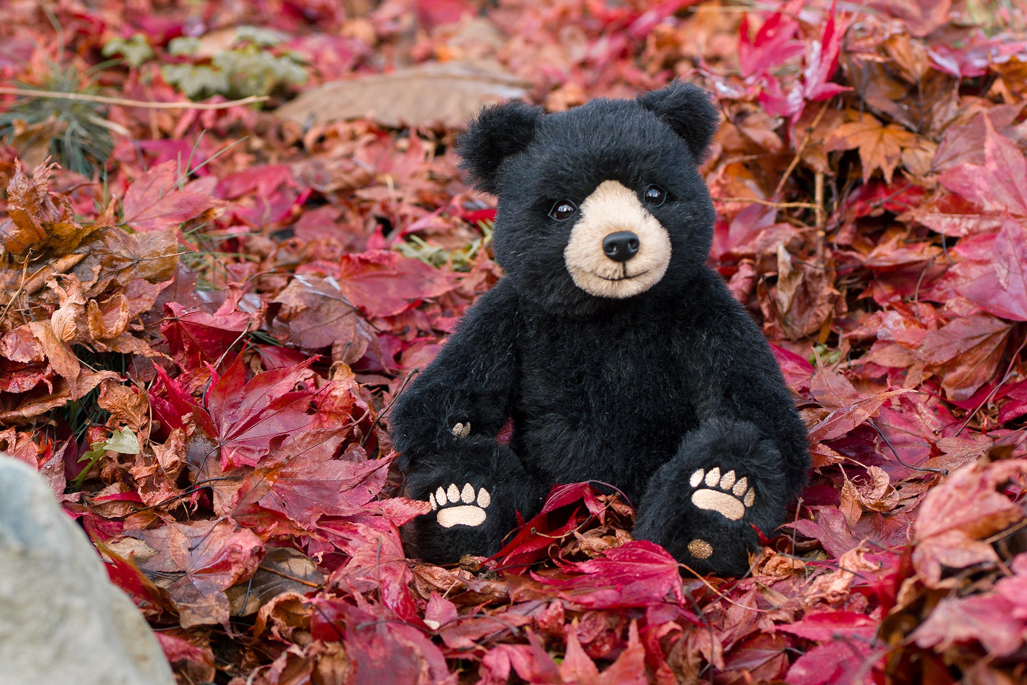 Winnipeg: The Bear Behind the Name 'Winnie' the Pooh – Merrythought